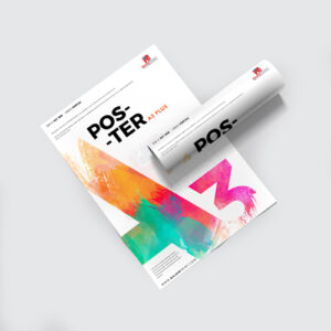Print A3+
